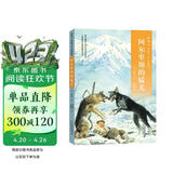 椋鸠十经典世界动物小说 爱藏本4：阿尔卑斯的猛犬 