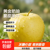 山东烟台黄金奶油富士苹果脆甜冰糖心很像维纳斯苹果 带箱9.5斤75果