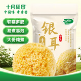 十月稻田银耳 200g 糯耳丑耳 易出胶 银耳羹 莲子百合冰糖红枣 火锅食材