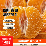 四川粑粑柑【多地】香甜多汁清甜爽口当季耙耙柑橘子桔子 带箱1斤【2-4个果子】小果