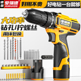 爱瑞德 德国手电钻家用多功能电动螺丝刀充电电钻电起子 电动工具 12V双速款配二电一充