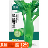 北蔬 鸡腿芥兰种子种苗芥蓝阳台盆栽庭院种四季种籽 鸡腿芥兰种子10g