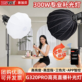 影加贝300W直播补光灯服装直播间专用柔光深抛灯带格栅美食带货球形打光灯室内影棚拍摄摄影灯 【黑色】300W直播灯（单灯标配不含灯罩/支架）