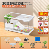 添悦乌龟饲养缸家用带晒台爬台养龟专用箱客厅生态造景塑料小鱼缸耐摔 【中号】+晒台+过滤+绿植