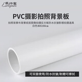 早行客（earlymen）磨砂PVC摄影背景板 白色80*160cm 拍照背景布背景纸抠图像反光板防水抗皱