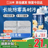 立邦美缝剂甄美缝十大品牌地砖瓷砖填缝剂美缝胶耐水防霉 闪亮银