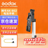 神牛（Godox）ML100Bi摄影灯双色温手持补光灯人像补光灯控制室摄像灯附件V口电池附件套装AK-B02【官方标配】
