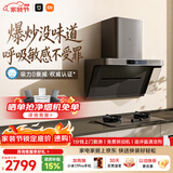 米家小米抽吸油烟机净烟机P1 家电以旧换新上门安装家用大吸力一级能效免拆洗可配燃气灶MJ04CY