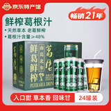 葛佬（GeLao）鲜榨葛根汁310ml罐装草本植物清凉葛根鲜榨江西上饶特产凉茶饮料 葛佬310mlx24罐