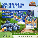 三只松鼠每日蓝莓干256g/16包 无添加水果干果脯小包装儿童老人办公室零食