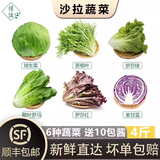 槿馐新鲜沙拉蔬菜4斤 混合6种生菜组合 轻食沙拉食材代餐菜包 6种沙拉蔬菜4斤【无酱】