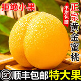 壹萌果蔬山东蒙阴黄桃【JD顺丰多地次日达】黄金蜜毛桃子脆桃水果盒送礼 5斤装【全网比好-家庭畅享】净4.5斤 【清甜】A+级精选果125g+