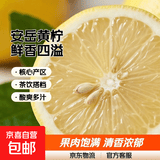 京喜加安岳黄柠檬泡水喝 新鲜水果  清香浓郁细腻 带箱5斤中果（单果100g+）