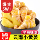 中鲜生 云南小黄姜 现挖生姜 新姜月子姜 新鲜蔬菜生鲜 净重2.5KG【手选大块老姜 I 品质更好】