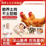 杨博士 皖南散养仔公鸡2只黑猪肉包子3袋组合 净重2.6斤 生鲜源头直发
