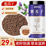 修年堂炒紫苏籽400g/罐紫苏子 熟紫苏子粒粒饱满 精选紫苏籽生紫苏子