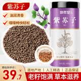 修年堂 紫苏籽400g/罐紫苏子 食用紫苏子粒粒饱满 精选紫苏籽生紫苏子