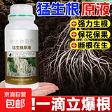 猛生根原液强力生根壮苗移栽插果蔬花卉绿植促根微生物壮根肥 猛生根原液500g*1瓶