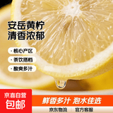 京喜加安岳黄柠檬泡水喝 新鲜水果  清香浓郁细腻 带箱3斤中果（单果100g+）