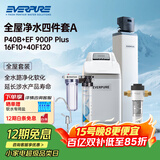 爱惠浦（Everpure）家用全屋软化过滤器 厨房出水直饮 美肤洗浴 呵护衣物 中央过滤净水器四件套A