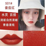 LANYI   口红不脱色不掉色不沾杯不脱色豆沙色同款雨衣哑光 501#番茄红棕
