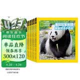 美国国家地理趣味小百科 中英文双语读物（套装共6册）   图书开学季 图书开工开学季 送礼好物 小学生推荐书单 一升二衔接 小升初衔接 
