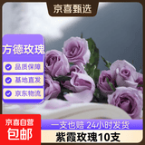 【方德玫瑰】云南鲜花基地直发玫瑰花鲜切38妇女节女神节生日礼物 品牌40-50cm紫霞10支