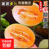 京喜加海南哈密瓜水果现货正宗保甜当季新鲜水果脆甜晓蜜哈密瓜 精选2-3斤（1颗装）净重1.5斤-2.5斤
