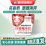 海河牛奶早餐奶天津海河网红风味奶日期新鲜可批发袋装奶 海河牛奶草莓味220ml*10包