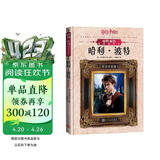 哈利波特电影角色书：哈利·波特（中英双语对照，精美全彩，电影观看指南，细数哈利成长的珍贵画面） 