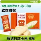 十月稻田 白甜糯玉米 8根 4.16斤 东北鲜黏玉米棒 低脂早餐苞米 杂粮礼盒