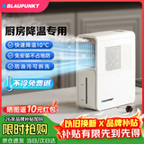 蓝宝（BLAUPUNKT）【厨房降温】冰雾扇电风扇家用空调扇加湿水冷风扇冷风机制冷小空调扇无需冰晶 节能低噪可拆洗 X5