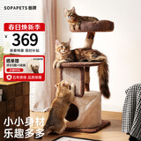 兽牌云端实木猫爬架小户型猫架带窝猫咪抓柱猫架子猫树猫窝猫抓板一体 小树屋【实木柱+大窝】