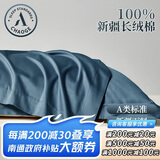 巢歌A类面料新疆长绒棉枕头套枕套一对纯棉亲肤四季家用全棉枕芯套