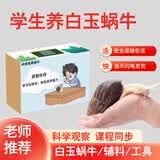 耕耘严选 白玉蜗牛活体学生科学实验观察宠物观赏喂养工具全程指导 爬宠箱体验套装