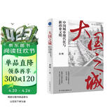 大国之城：中国城市现代化与新商业文明