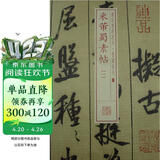 书法经典放大·墨迹系列：米芾蜀素帖（1）