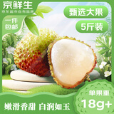 京鲜生 妃子笑荔枝净重5斤装 单果18g+ 新鲜水果 包邮