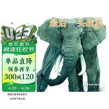 沈石溪动物小说大party：最后一头战象 
