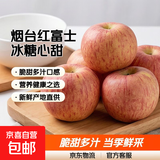山东烟台红富士苹果正宗栖霞苹果冰糖心水果新鲜当季苹果 带箱4斤10-12个 75果