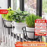 索尔诺（SuoErnuo）悬挂花架阳台铁艺简约悬挂花架挂架 多肉绿萝架装饰挂架 一只装-黑色【托底直径18*上环直径22】