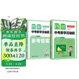 图解中考数学压轴题（强化训练版）