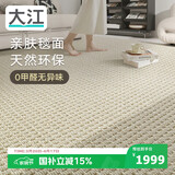 大江地毯客厅2025新款免洗可擦轻奢高级60%羊毛地毯200x300cm