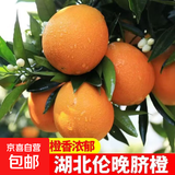 正宗秭归夏橙脐橙 甜橙子 现摘现发 产地直发新鲜水果 80mm+ 带箱9斤/净重8.4斤