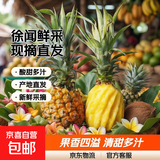 广东香水菠萝整箱顺丰包邮现摘直发香甜多汁限时特惠