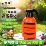 安赛瑞  喷壶  浇花水壶喷雾器  喷水壶气压式洒水喷壶器 2L 5J01043