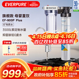 爱惠浦（Everpure） 家用矿物质厨下净水器 大流量0废水直饮 1.8L/分钟3500L处理量 EF-900P Plus