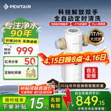 滨特尔（pentair）前置过滤器大通量家用全屋自来水管道过滤器大流量净水器排行前十名水驱涡轮+反冲洗刮洗净水器 【自主安装】S260全自动-40μm