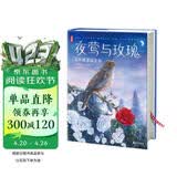 夜莺与玫瑰：王尔德童话全集（译者朱纯生3次荣获宋淇翻译研究纪念奖！热销15万册全新精装大开本典藏版！读经典名著，认准作家榜！） 