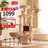 兽牌森林猫爬架大型猫树猫窝一体豪华剑麻猫架太空舱缅因大猫暖冬适用 森林【经典款】